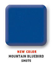 solid_mountainbluebird